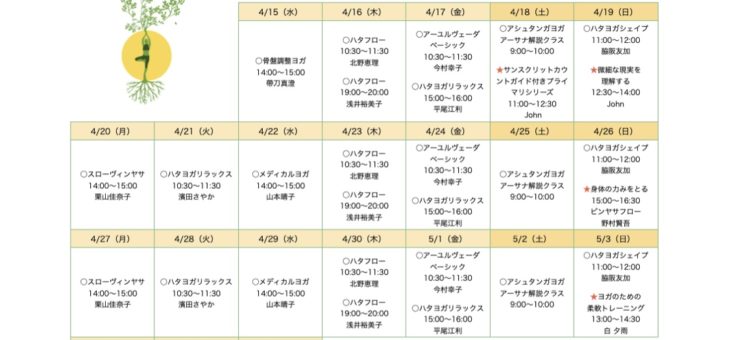 SUNDARI(スンダリ)  ヨガ   オンラインレッスン　ご案内